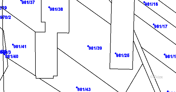 Parcela st. 981/39 v KÚ Omice, Katastrální mapa