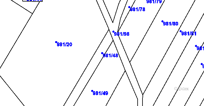 Parcela st. 981/48 v KÚ Omice, Katastrální mapa