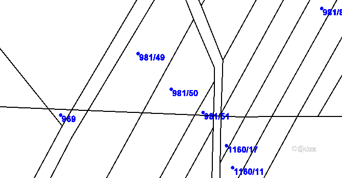Parcela st. 981/50 v KÚ Omice, Katastrální mapa