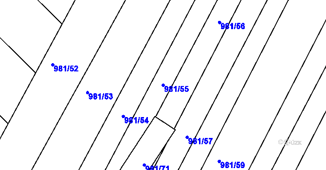 Parcela st. 981/55 v KÚ Omice, Katastrální mapa