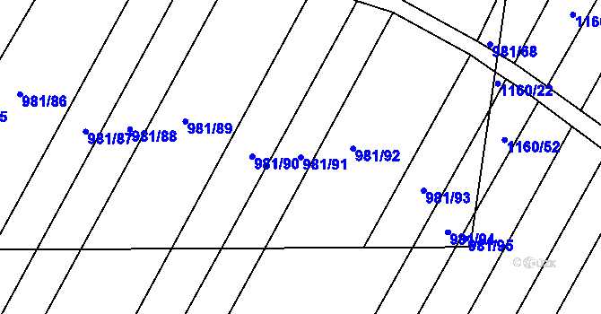 Parcela st. 981/91 v KÚ Omice, Katastrální mapa
