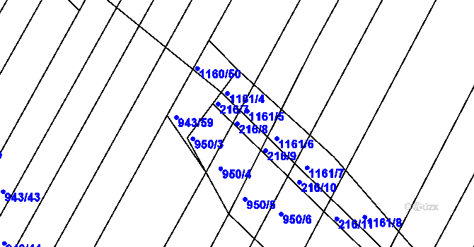 Parcela st. 216/8 v KÚ Omice, Katastrální mapa