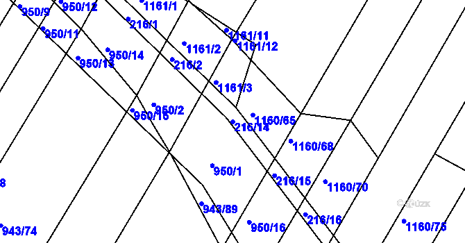 Parcela st. 216/14 v KÚ Omice, Katastrální mapa