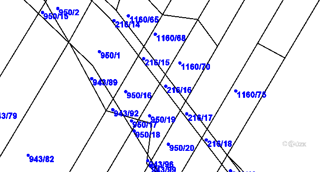 Parcela st. 216/16 v KÚ Omice, Katastrální mapa