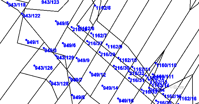 Parcela st. 216/29 v KÚ Omice, Katastrální mapa