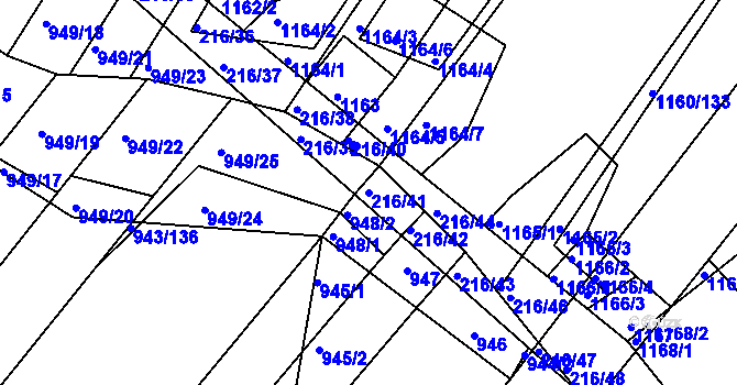Parcela st. 216/41 v KÚ Omice, Katastrální mapa