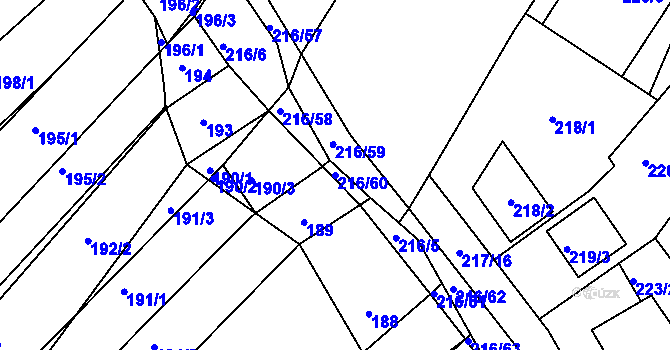 Parcela st. 216/60 v KÚ Omice, Katastrální mapa