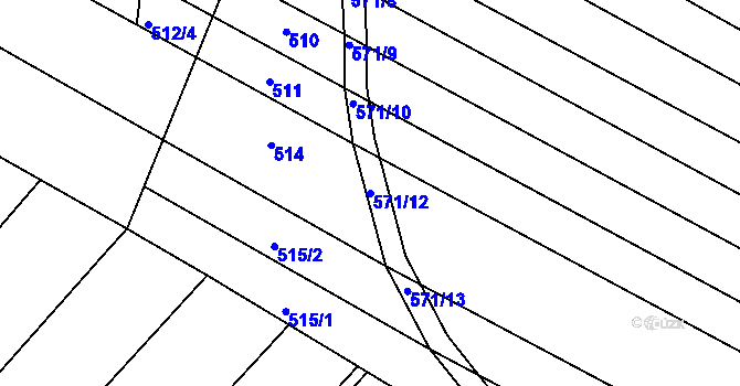 Parcela st. 571/12 v KÚ Omice, Katastrální mapa