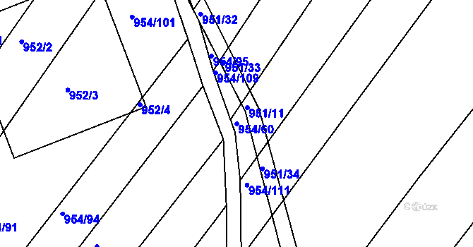 Parcela st. 954/60 v KÚ Omice, Katastrální mapa