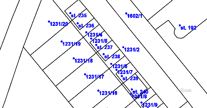 Parcela st. 238 v KÚ Opařany, Katastrální mapa
