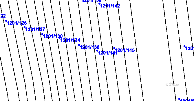 Parcela st. 1201/141 v KÚ Opatovice u Rajhradu, Katastrální mapa