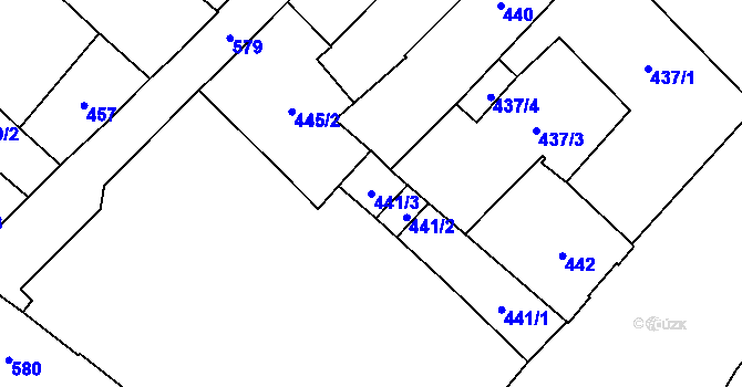 Parcela st. 441/3 v KÚ Opava-Město, Katastrální mapa