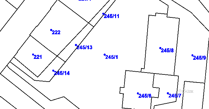 Parcela st. 245/1 v KÚ Opava-Předměstí, Katastrální mapa