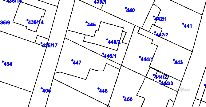 Parcela st. 446/1 v KÚ Malé Hoštice, Katastrální mapa