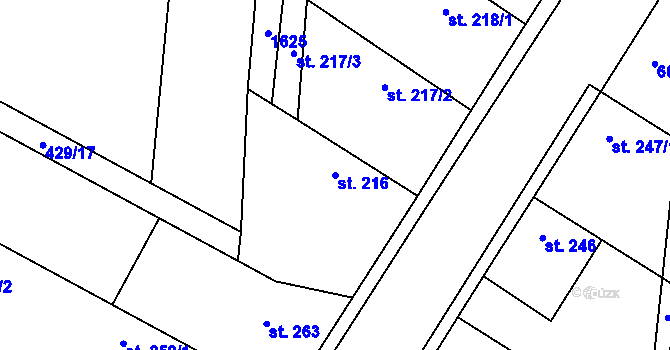 Parcela st. 216 v KÚ Opočnice, Katastrální mapa