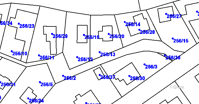 Parcela st. 256/13 v KÚ Opočno pod Orlickými horami, Katastrální mapa