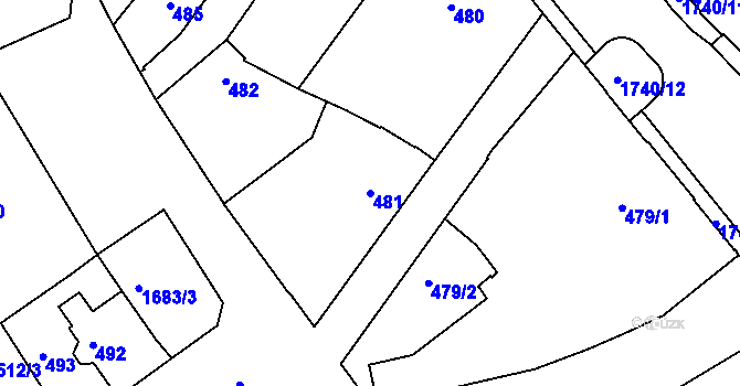 Parcela st. 481 v KÚ Opočno pod Orlickými horami, Katastrální mapa