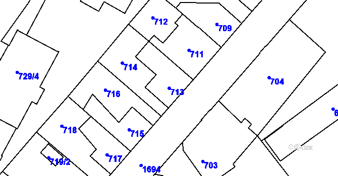 Parcela st. 713 v KÚ Opočno pod Orlickými horami, Katastrální mapa