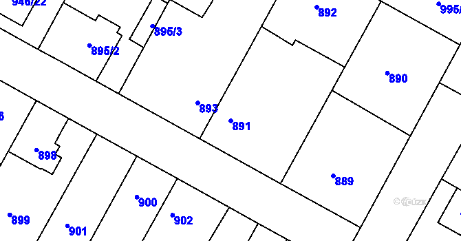 Parcela st. 891 v KÚ Opočno pod Orlickými horami, Katastrální mapa