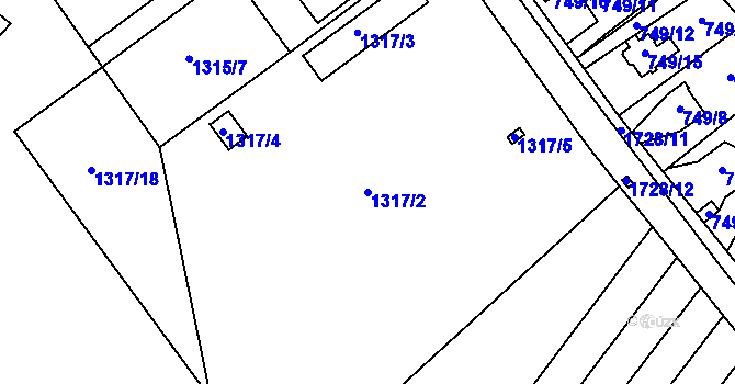 Parcela st. 1317/2 v KÚ Opočno pod Orlickými horami, Katastrální mapa