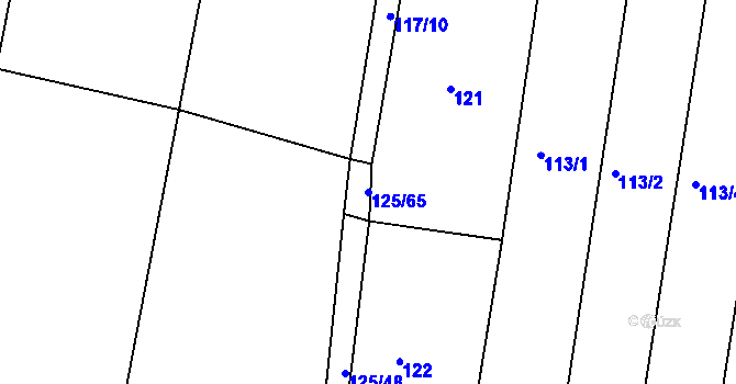 Parcela st. 125/65 v KÚ Orel, Katastrální mapa