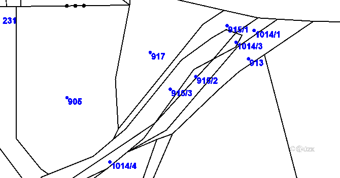 Parcela st. 915/3 v KÚ Rviště, Katastrální mapa