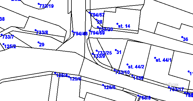 Parcela st. 733/25 v KÚ Rviště, Katastrální mapa