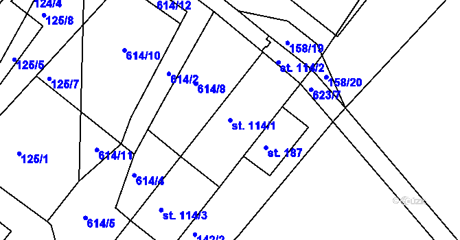 Parcela st. 114/1 v KÚ Říčky u Orlického Podhůří, Katastrální mapa