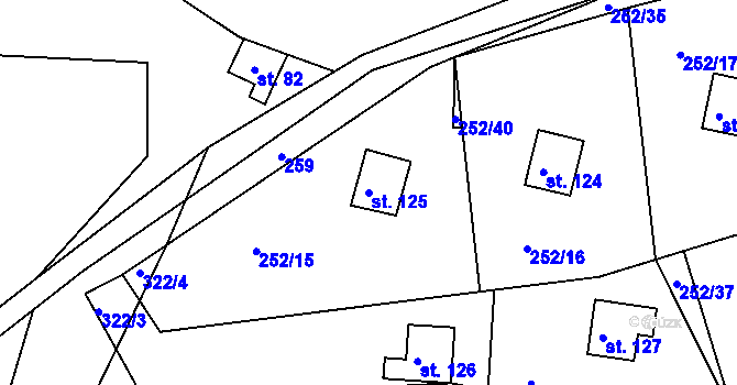 Parcela st. 125 v KÚ Říčky u Orlického Podhůří, Katastrální mapa