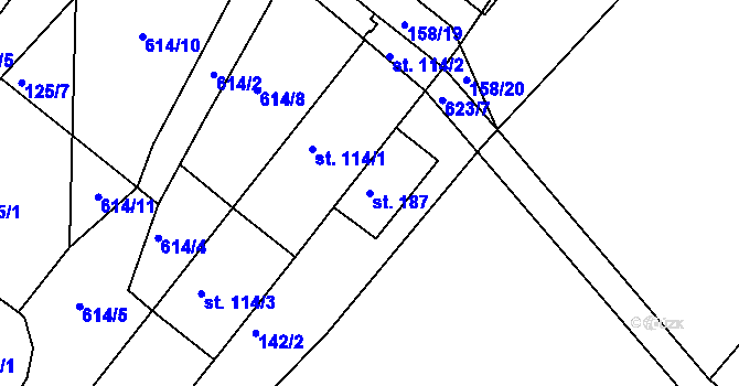 Parcela st. 187 v KÚ Říčky u Orlického Podhůří, Katastrální mapa