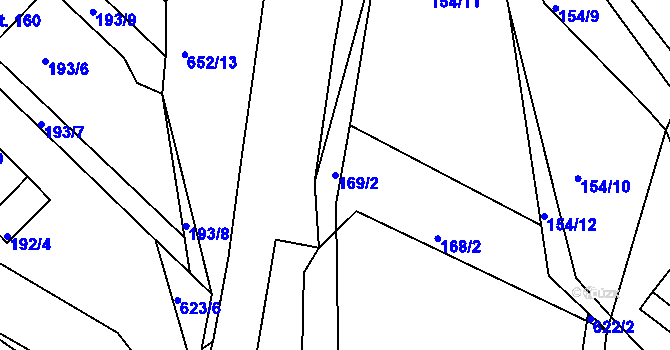 Parcela st. 169/2 v KÚ Říčky u Orlického Podhůří, Katastrální mapa