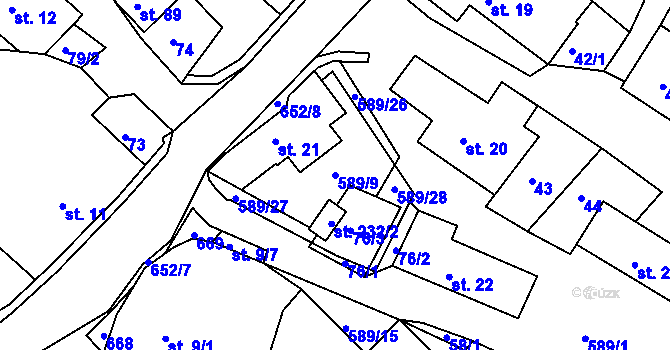 Parcela st. 589/9 v KÚ Říčky u Orlického Podhůří, Katastrální mapa