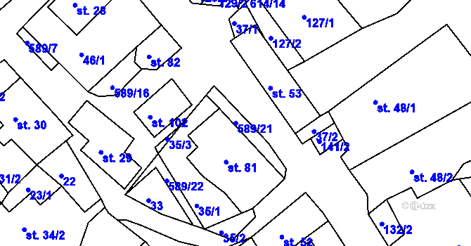 Parcela st. 589/21 v KÚ Říčky u Orlického Podhůří, Katastrální mapa