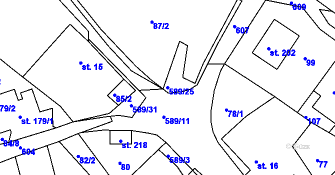Parcela st. 589/25 v KÚ Říčky u Orlického Podhůří, Katastrální mapa