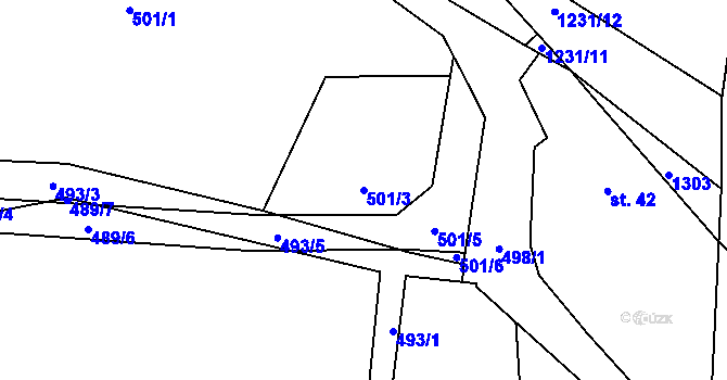 Parcela st. 501/3 v KÚ Orlov u Jistebnice, Katastrální mapa