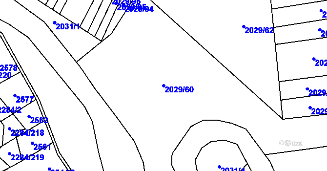 Parcela st. 2029/60 v KÚ Orlovice, Katastrální mapa
