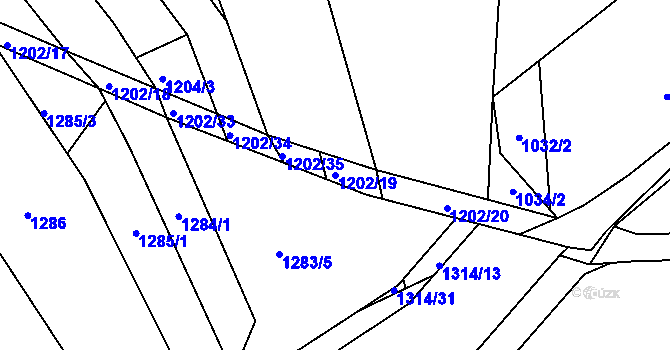Parcela st. 1202/19 v KÚ Ořechov, Katastrální mapa