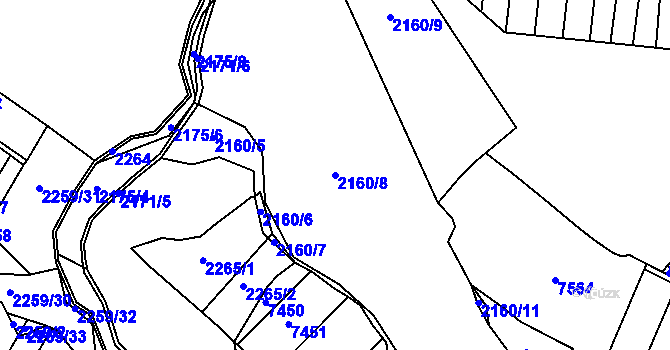 Parcela st. 2160/8 v KÚ Ořechov, Katastrální mapa