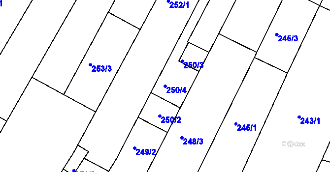 Parcela st. 250/4 v KÚ Ořechov, Katastrální mapa