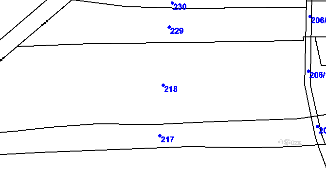 Parcela st. 218 v KÚ Dvořiště, Katastrální mapa