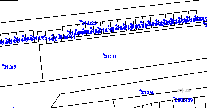 Parcela st. 313/1 v KÚ Oslavany, Katastrální mapa