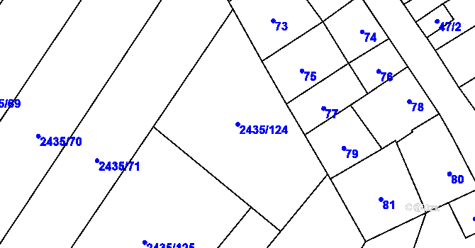 Parcela st. 2435/124 v KÚ Oslavany, Katastrální mapa