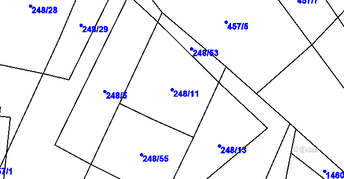 Parcela st. 248/11 v KÚ Oslnovice, Katastrální mapa