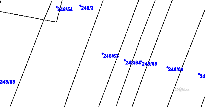 Parcela st. 248/63 v KÚ Oslnovice, Katastrální mapa