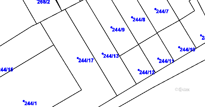 Parcela st. 244/13 v KÚ Vítkovice, Katastrální mapa