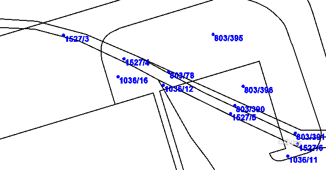 Parcela st. 1036/12 v KÚ Ostrov u Tachova, Katastrální mapa