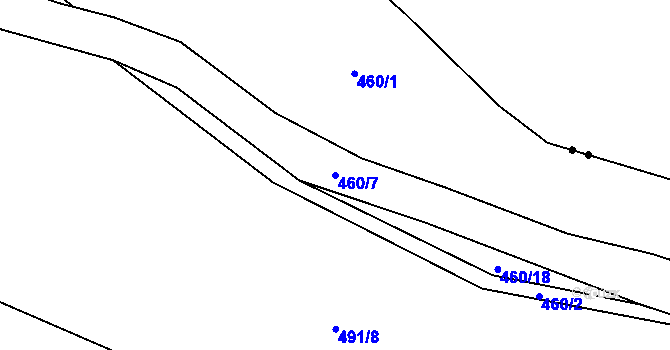 Parcela st. 460/7 v KÚ Ostrov u Tachova, Katastrální mapa