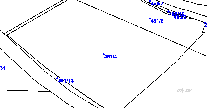 Parcela st. 491/4 v KÚ Ostrov u Tachova, Katastrální mapa