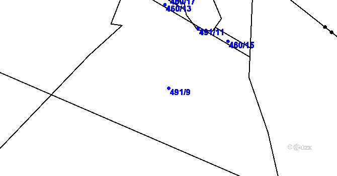 Parcela st. 491/9 v KÚ Ostrov u Tachova, Katastrální mapa