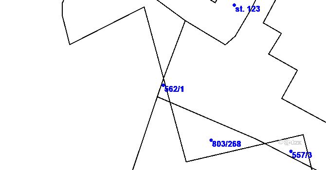 Parcela st. 562/1 v KÚ Ostrov u Tachova, Katastrální mapa